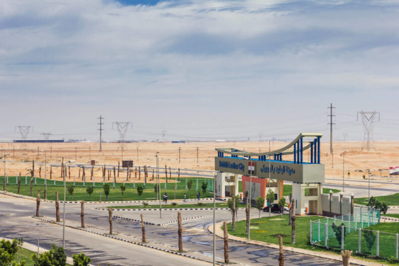 CID-Egypt-Robbiki-3-1024×683